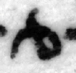 4Q173_aleph_F005_L4.jpg