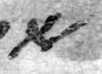 4Q183_aleph_F001_L3.jpg