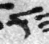 4Q183_waw_F002_L1.jpg