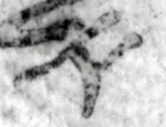 4Q267_aleph_F003_L7.jpg