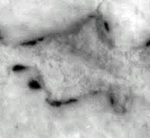 4Q406_he_F001_L2.jpg