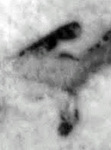 4Q406_waw_F001_L2.jpg