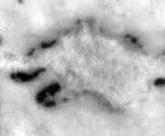 4Q406_yod_F001_L2.jpg
