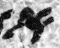 1Q3_aleph_F003_L3_1o_M40550-1-E.jpg