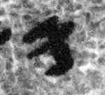 1Q3_waw_F003_L3_2o_M40550-1-E.jpg