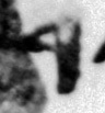 1Q3_resh_F018_M40433.jpg