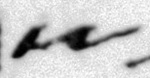 1Q3_shin_F018_M40433.jpg