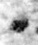 1Q3_separ_F018_M40433_rotated-6.38.jpg