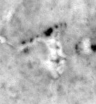 4Q11_gimel_P398-Fg005_L6_1o-R-C01-R01-D30092013-T100258-LR924__012.jpg