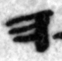 4Q11_he_402_B-475508_l4_1o.jpg