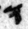 4Q11_waw_402_B-475508_l4_1o.jpg