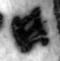 4Q11_het_402_B-475508_l6_1o.jpg