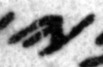 4Q11_yod_402_B-475508_l3_1o.jpg
