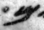 4Q11_mem_402_B-475512_l5_2o.jpg
