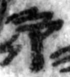 4Q11_samek_402_B-475508_l10_1o.jpg
