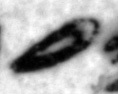 4Q11_ayin_402_B-475508_l4_1o.jpg