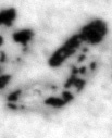 4Q11_pe_422_B-363097_l6_1o.jpg