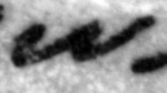 4Q11_shin_402_B-475508_l10_1o.jpg