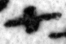 4Q11_tav_402_B-475508_l5_1o.jpg